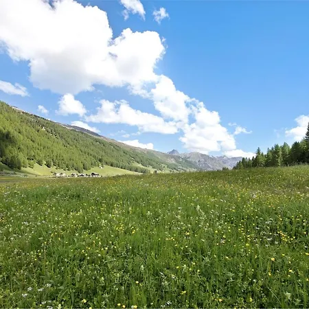 Agriturismo Bosco D'oro 3 Apartment Livigno