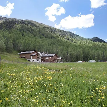 Agriturismo Bosco D'oro 3 Apartment *
